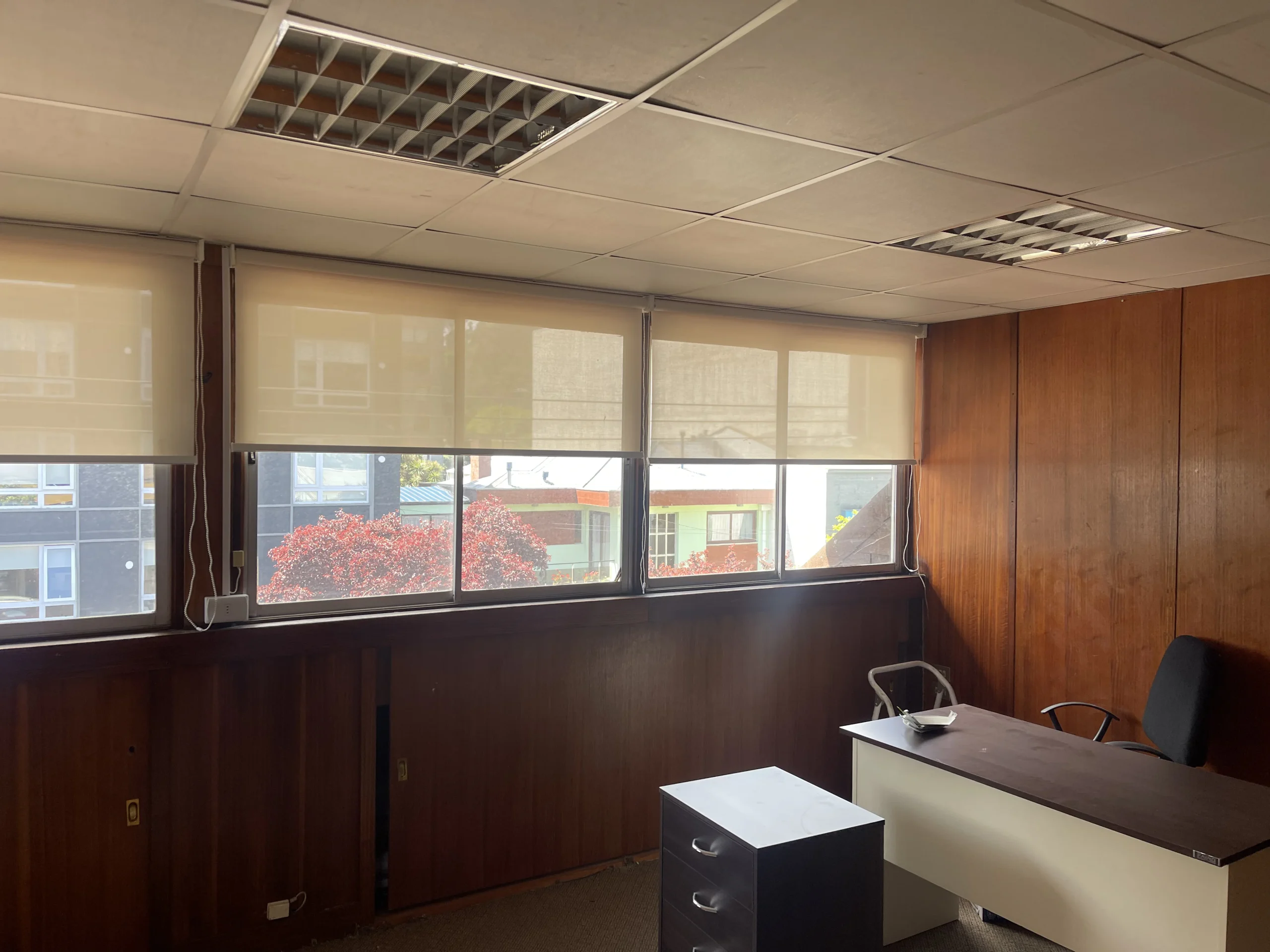 Cortinas Roller SunScreen - Cortinas Florida